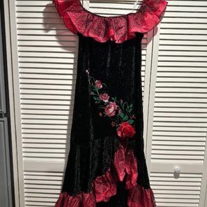Dia De Las Muertos Senorita Dress